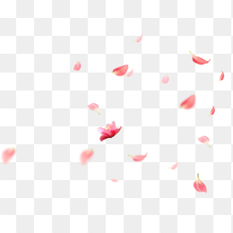 漂浮花朵