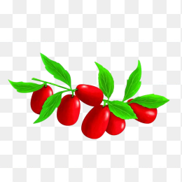 红枣