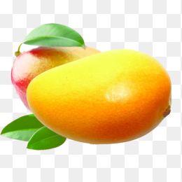 芒果