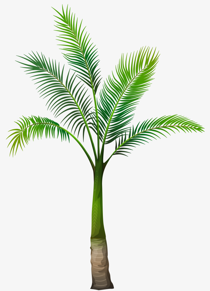 椰子树