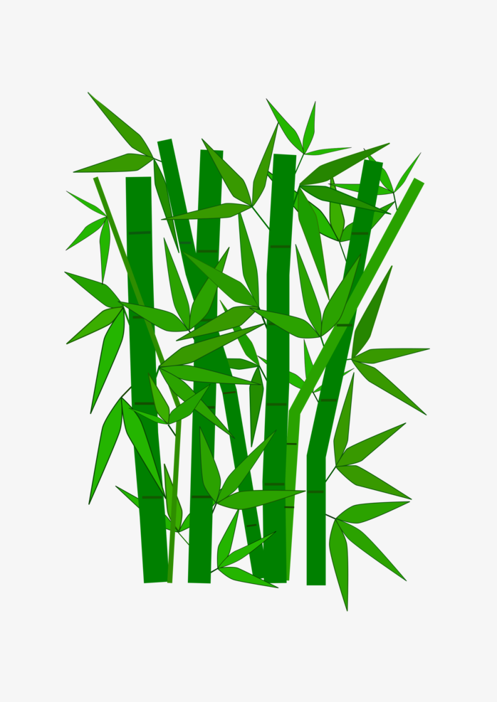 手绘竹子