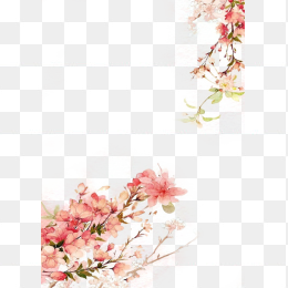 花枝