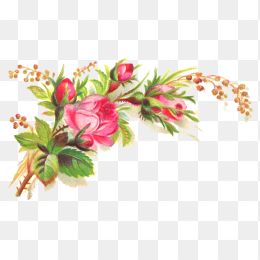 花枝