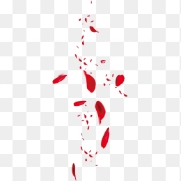玫瑰花瓣5