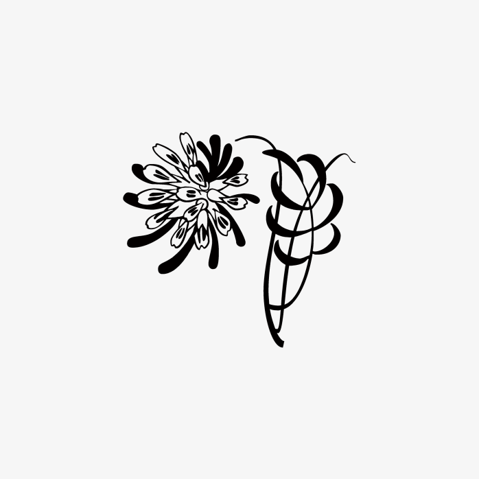 欧式花纹