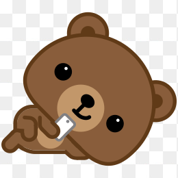 睡觉觉的熊