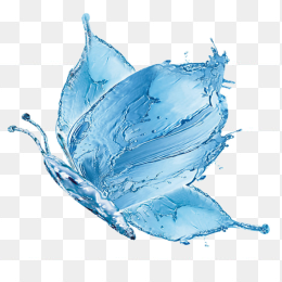 水蝴蝶特效