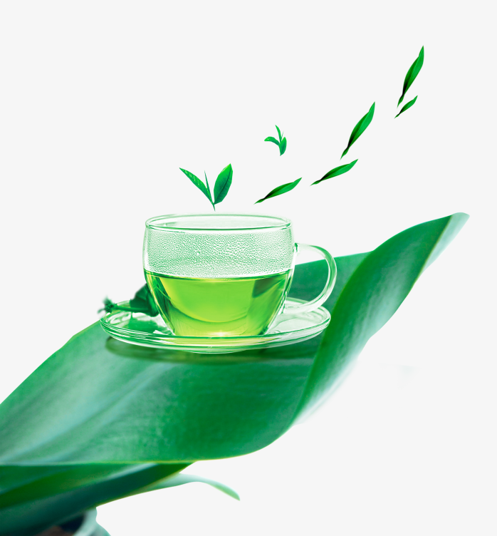 绿色茶叶茶
