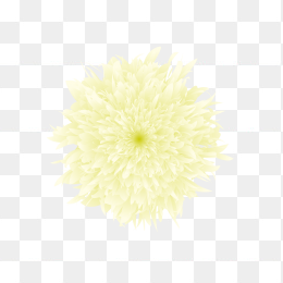 快图网独家原创手绘黄色花朵