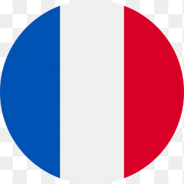 法国国旗图标
