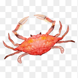 生鲜