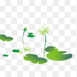 手绘水莲