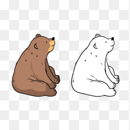 熊 棕熊 北极熊 白熊