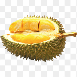 榴莲