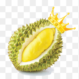 金枕榴莲
