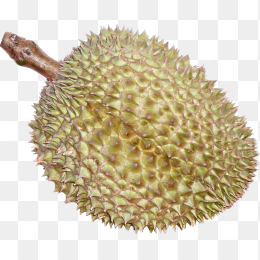榴莲