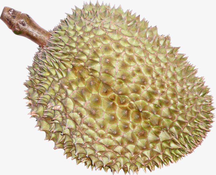 榴莲
