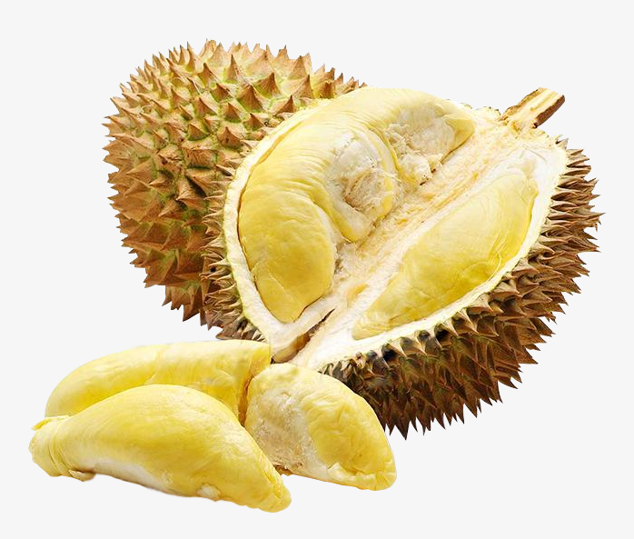 金枕榴莲