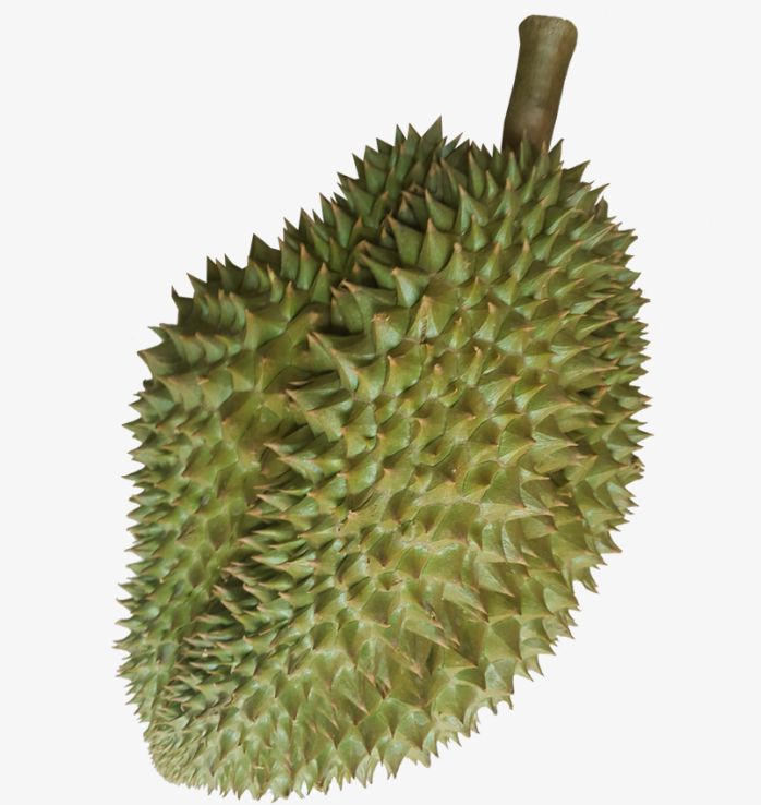 榴莲