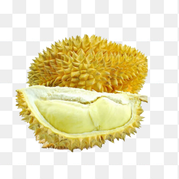金枕榴莲