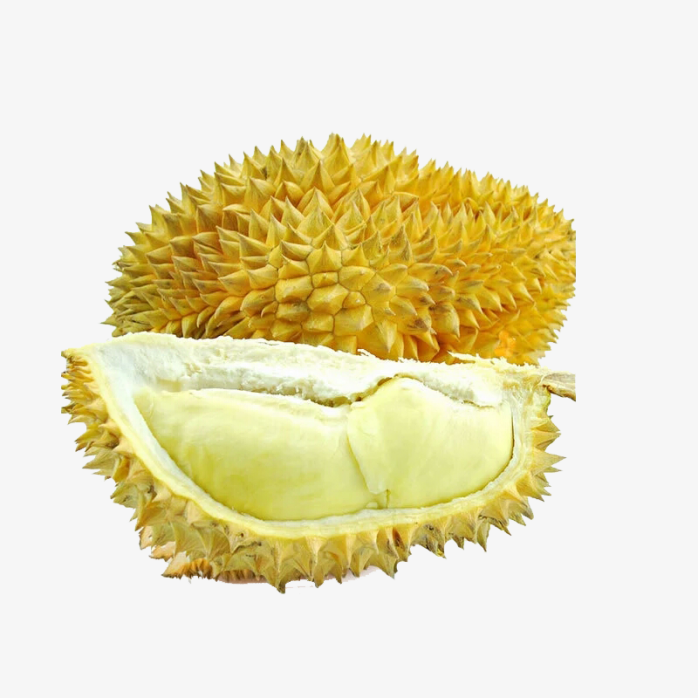 金枕榴莲
