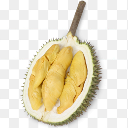 金枕榴莲