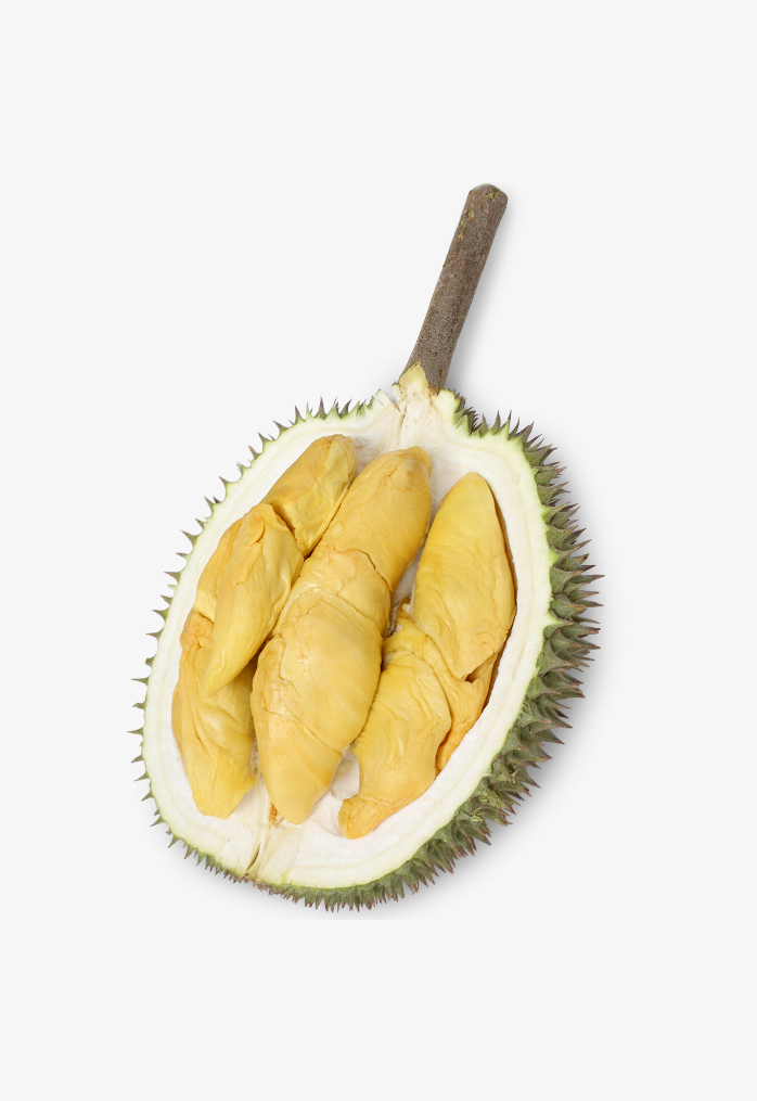 金枕榴莲