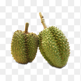 榴莲