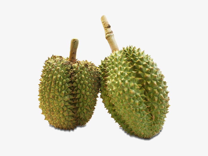榴莲
