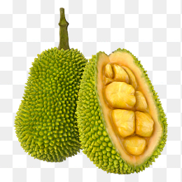 菠萝蜜
