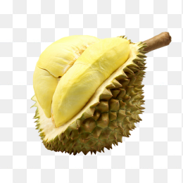 金枕榴莲