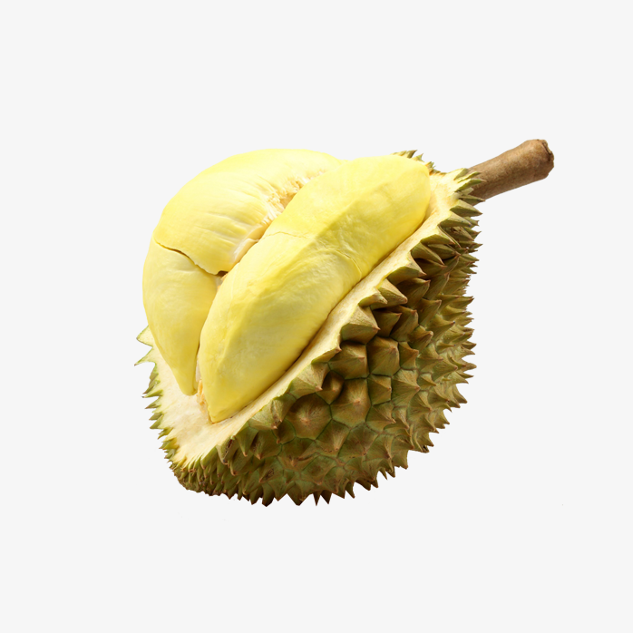 金枕榴莲