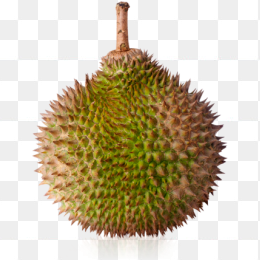 榴莲