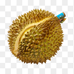 裂开的榴莲