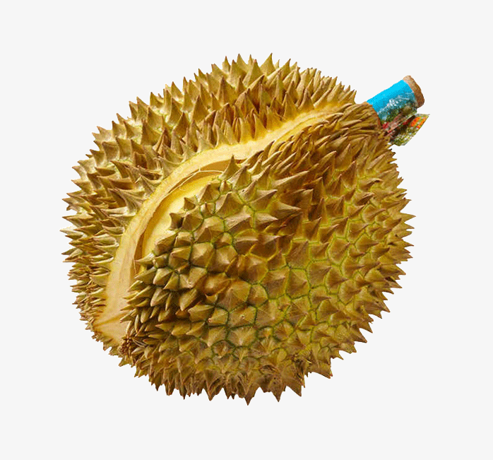 裂开的榴莲
