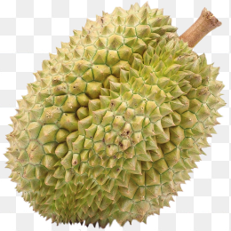 大榴莲