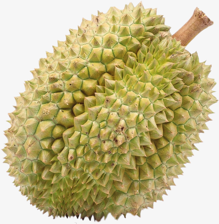 大榴莲