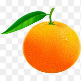 橙子