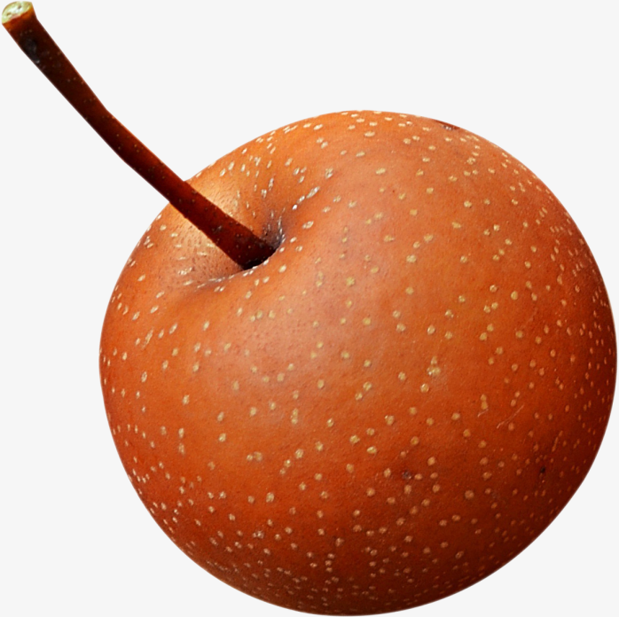 梨子