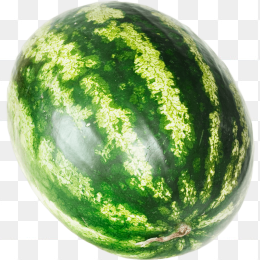 一个大西瓜
