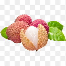荔枝