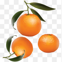 柑橘
