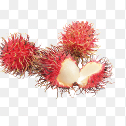 荔枝