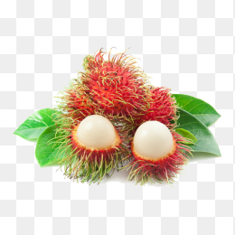 荔枝