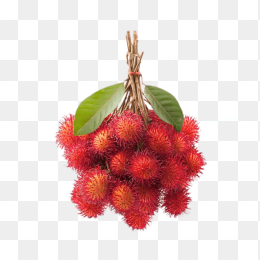 荔枝