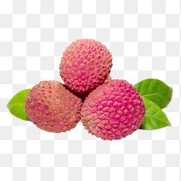 荔枝