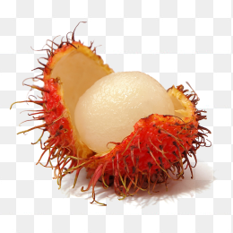 荔枝