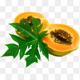 木瓜