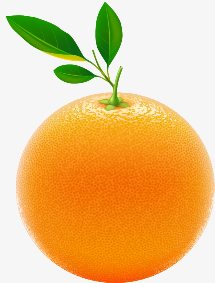 脐橙