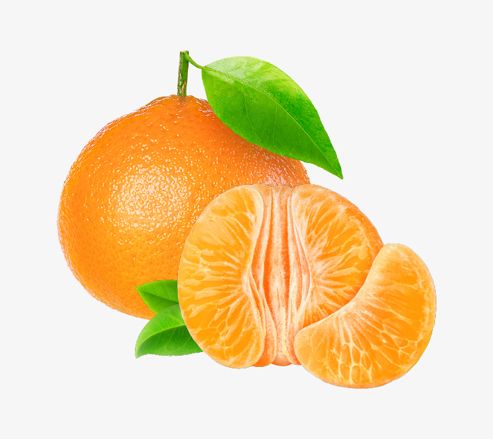 橘子